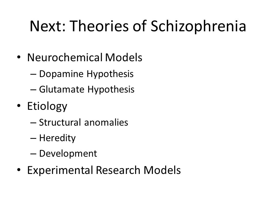 Schizophrenia Disorder Essay Sample